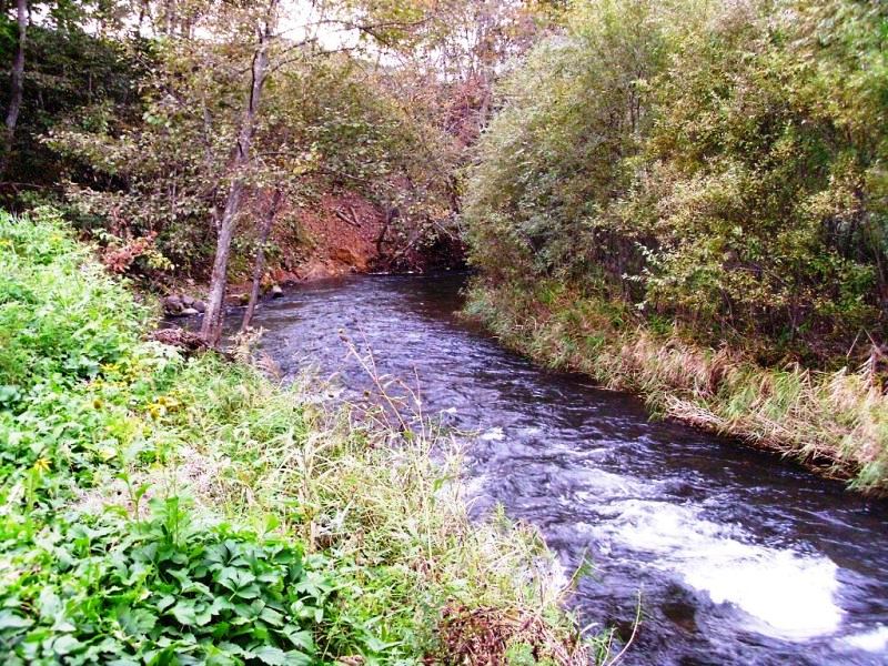 旭川近辺のトラウト釣り ペーパン川